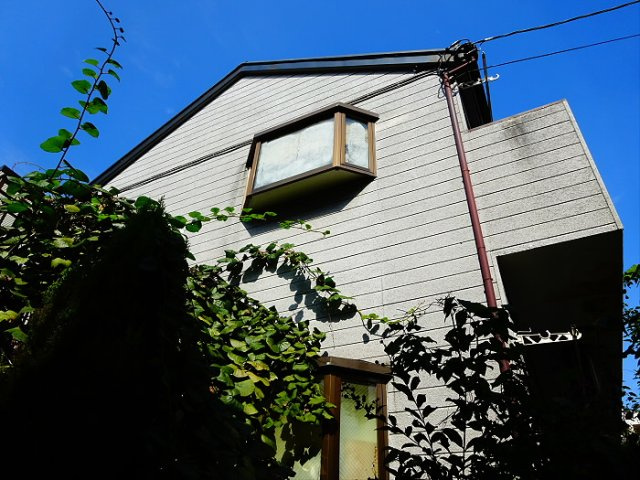 フラットハナタキ