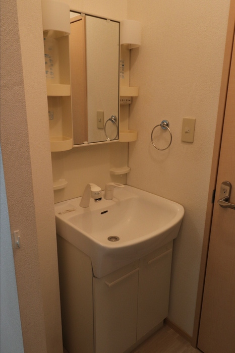 プレシャスコートの洗面所
