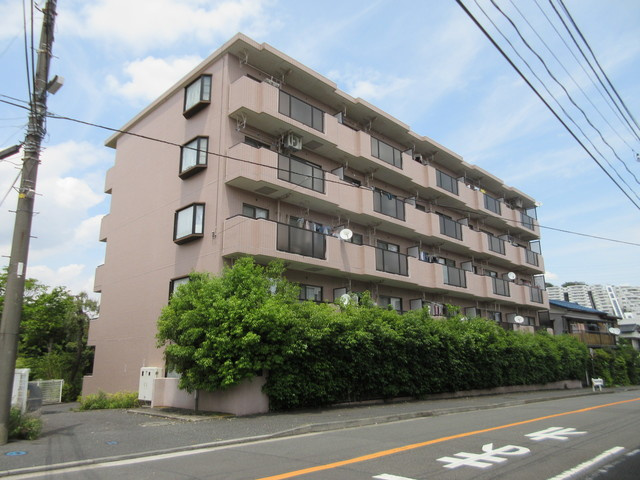 ＣＥＲＥＺＡ　ＳＡＫＡＭＯＴＯ