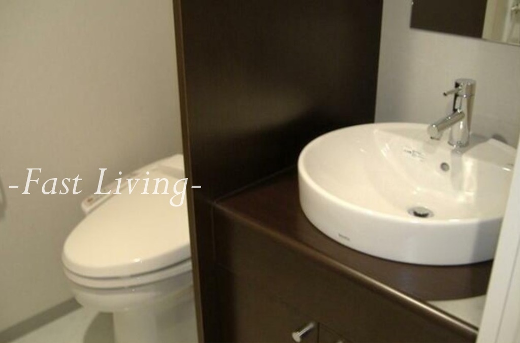 プラース千代田富士見の洗面所