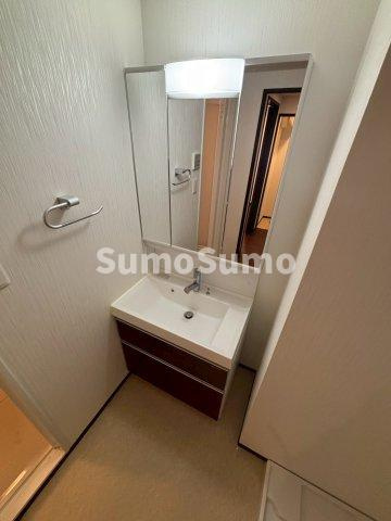 プレジオ恵美須の洗面所