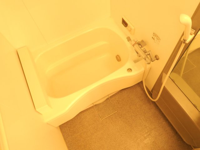 アプロード市川の浴室