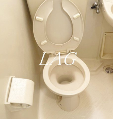 【トイレ】 | スカイノブレ御徒町 | トイレです。