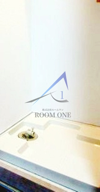 ラグジュアリーアパートメント文京千石＃０１の設備|洗濯機置き場です。