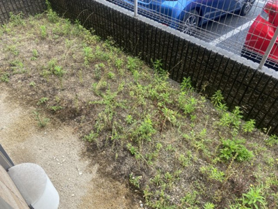 【庭】 | ブロッサム21　Ａ