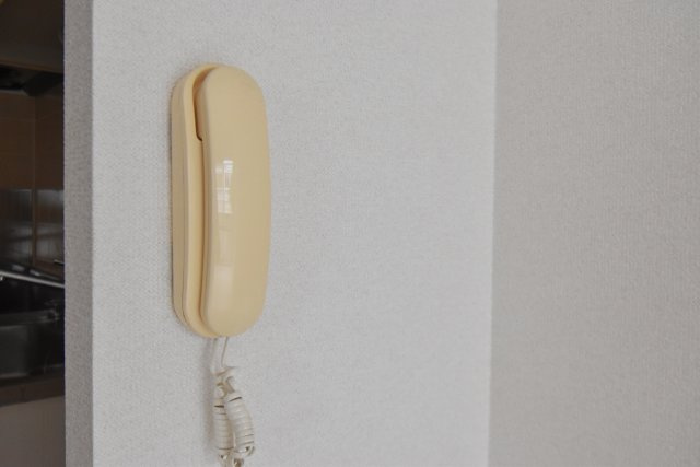 カネマスロイヤルコートのセキュリティ