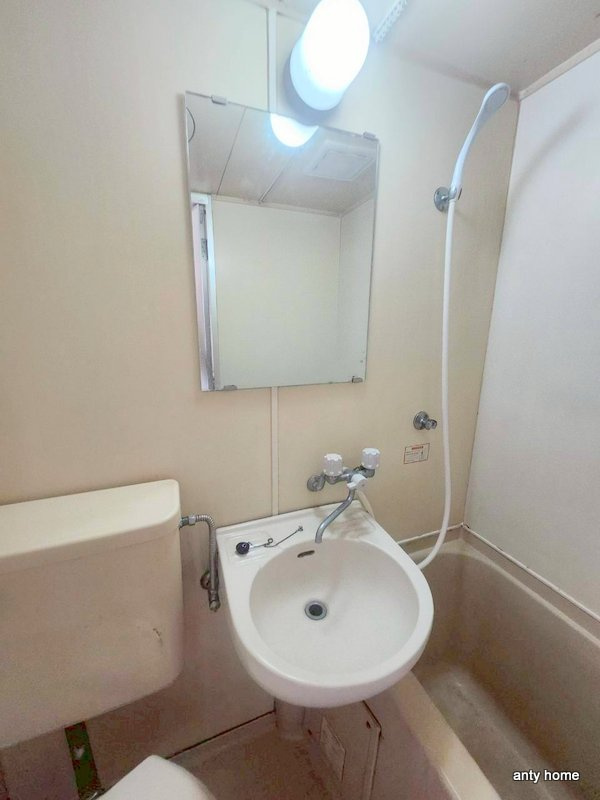 メゾン・ド・セジュール　仲介手数料無料の洗面所