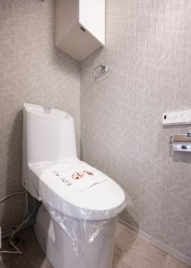 ライオンズマンション両国リバーステージのトイレ