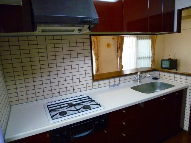 エヴァ諏訪野のその他