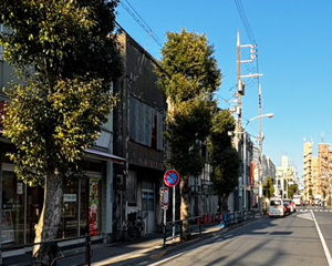 【前面道路含む現地写真】