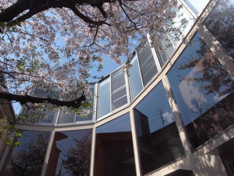 サクラノキテラス中目黒のエントランス|エントランス