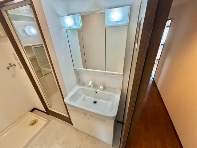 フレイグランス田寺の洗面所