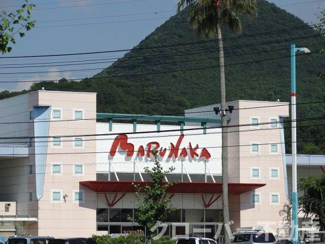 レオネクストウィンクルの周辺