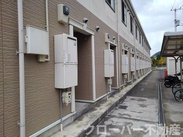 レオネクストウィンクルのその他