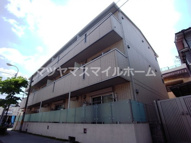 ハナミズキの画像