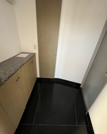 ドエルC&Tの玄関