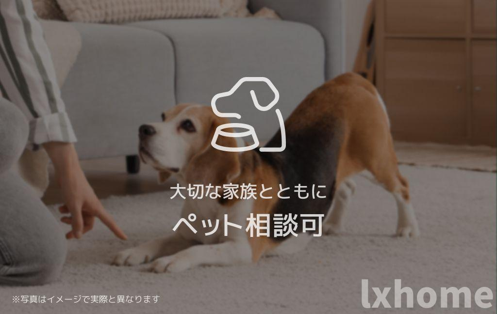 パラッツォ　グロリオーサⅢのその他