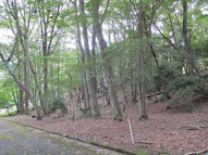 廿日市市吉和字市垣内 吉和の里の画像