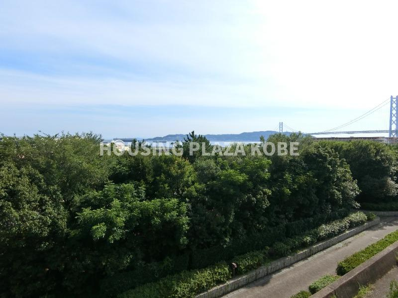 アロハマリーナの展望