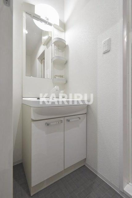ウィンズコート清水の独立洗面台