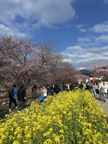 河津町　笹原の周辺|現地から徒歩３分　笹原公園