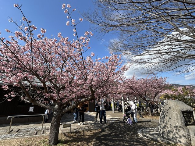 河津町　笹原の周辺|現地から徒歩３分　笹原公園