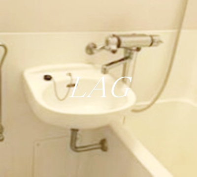 【洗面所】 | 日神パレス北池袋 | 洗面台です。