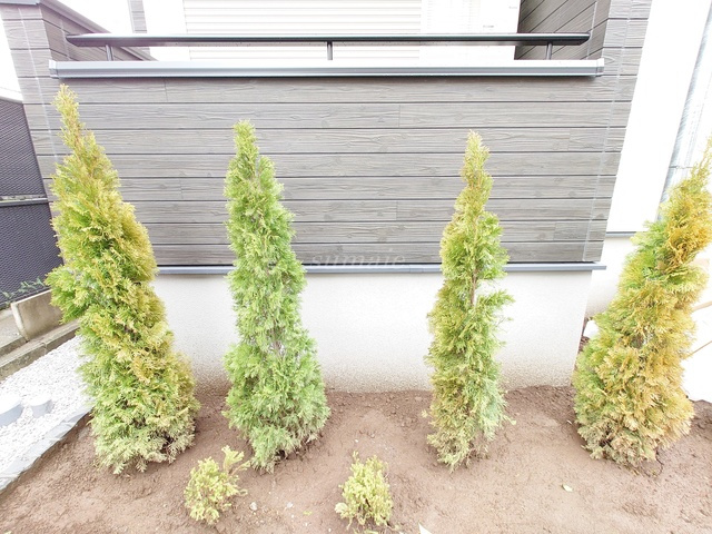 Luminareのその他|植栽です☆