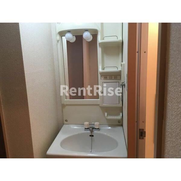 Surplusニワコーポの洗面所