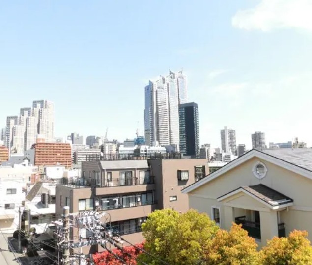 メゾンカルム西新宿の展望