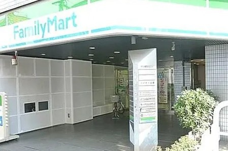 メゾンカルム西新宿の周辺