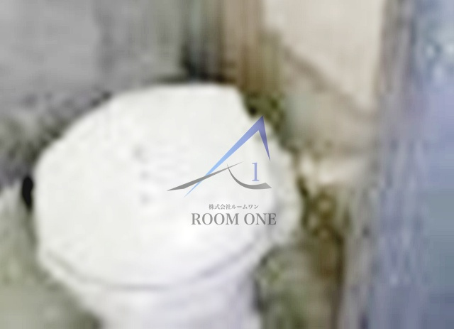 スプリングハウスのトイレ|トイレです。