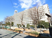 志木ハイデンス　(志木本店)の画像