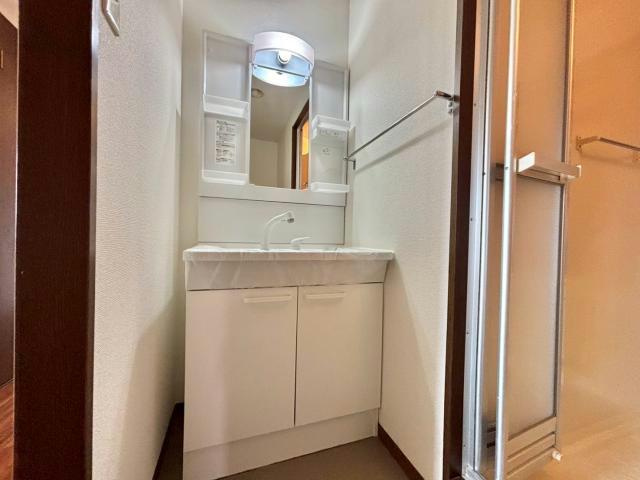 スカイハイツ田寺の洗面所