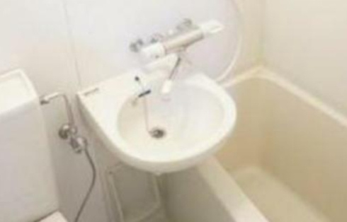 レイクサイド湯島の洗面所|※別室参考写真です。