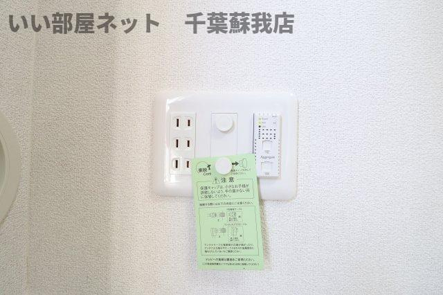 ｐｅａｃｅ　ｇａｒｄｅｎのその他