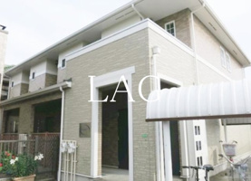 アムールの画像