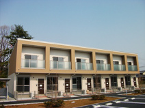 桜コートの画像