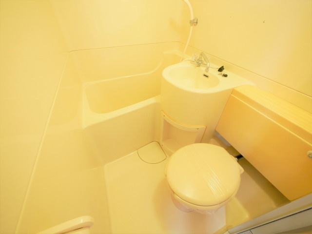 大阪市中央区玉造２丁目の賃貸マンションの浴室