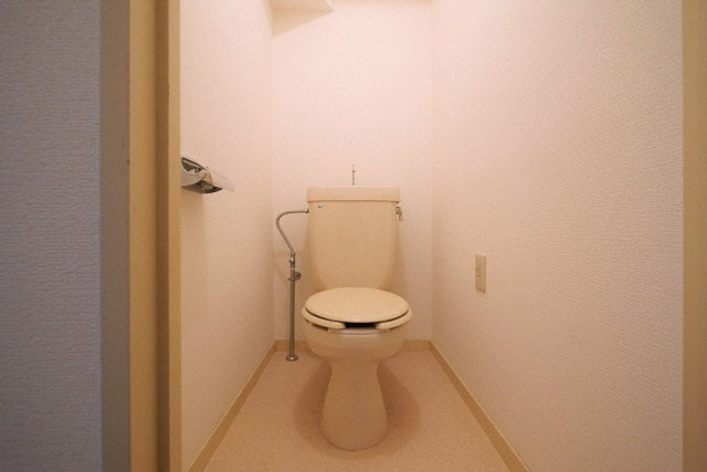 大阪市城東区中央１丁目の賃貸マンションのトイレ