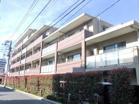 メゾンカルム西新宿の外観|5階建です