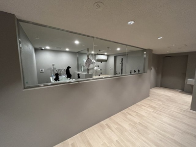 【その他】 | ブランシエスタ西馬込