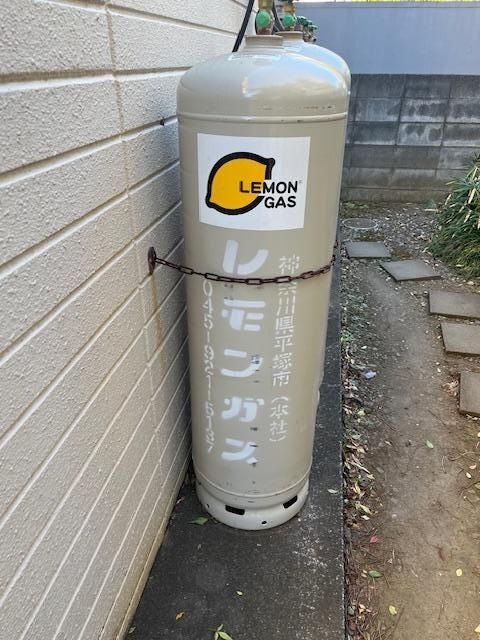 カーサきのこ