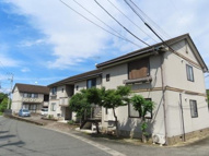 フラワーポテト正弥Ⅱの画像