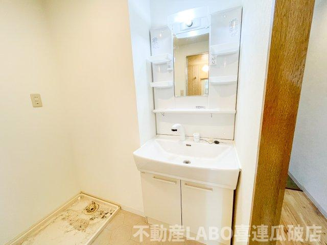 メゾンエスポアールの洗面所