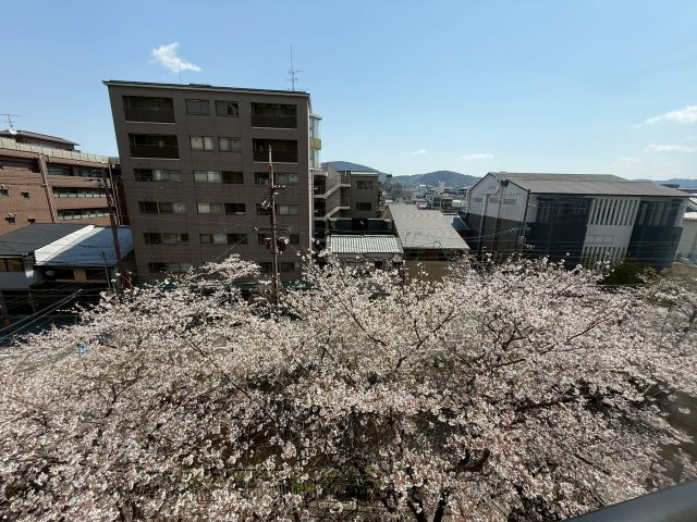 ベルヴィ高瀬川の展望