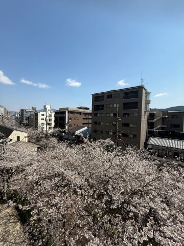 ベルヴィ高瀬川の展望