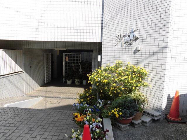 クレール山本のその他|敷地内植栽☆