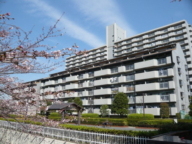 の-の画像