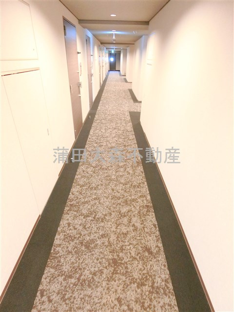 ラティエラ大鳥居のその他共用部分|共用廊下　カーペット敷きの内廊下！